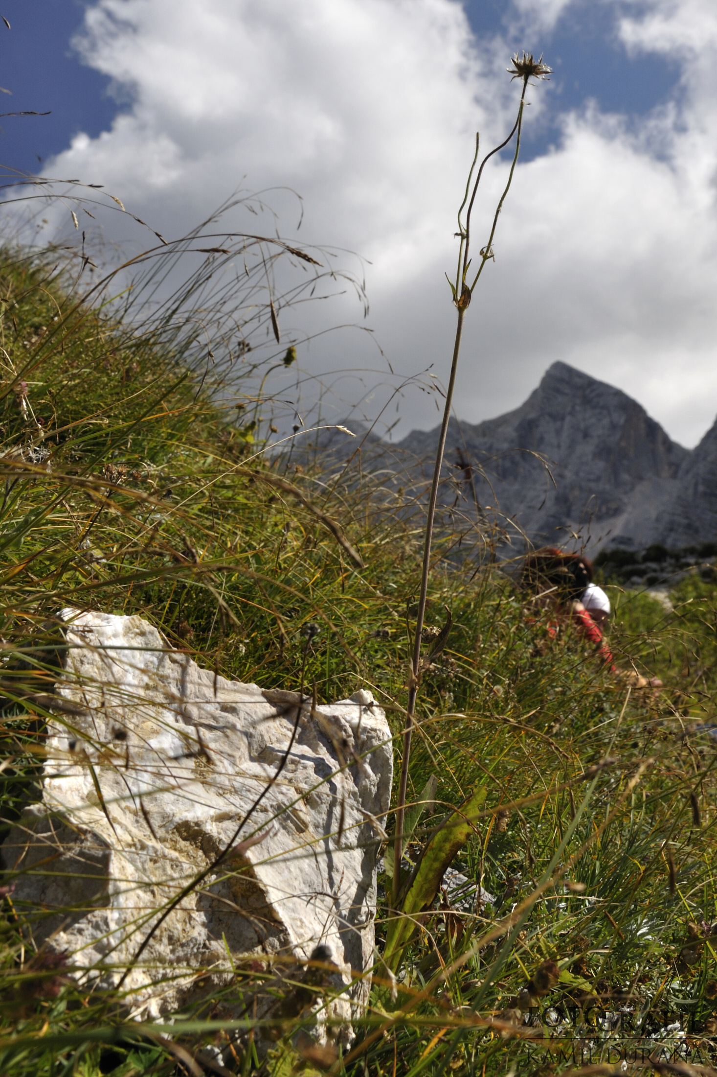 100911-067__DSC0098.JPG