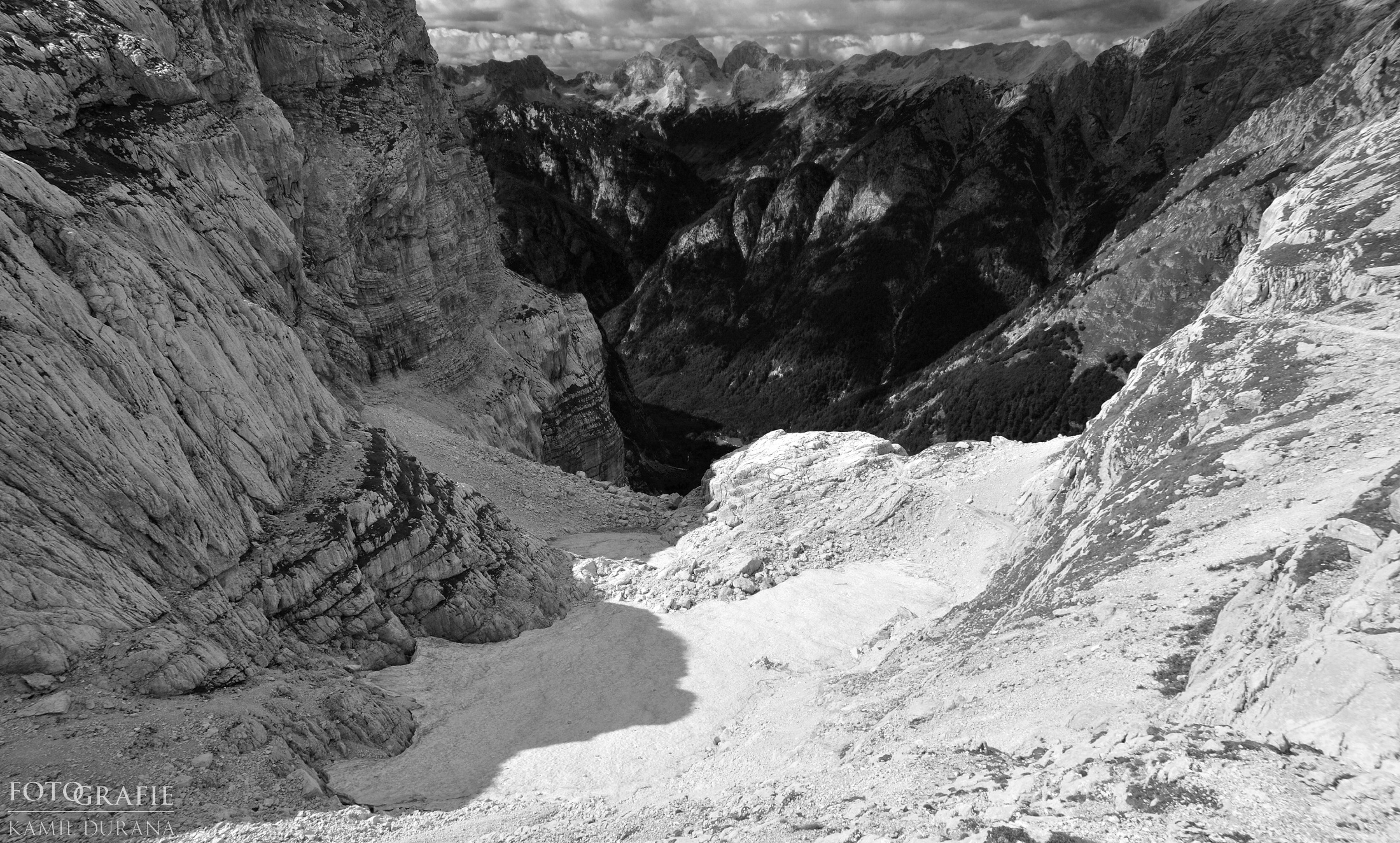 100911-085__DSC0123-bw.jpg